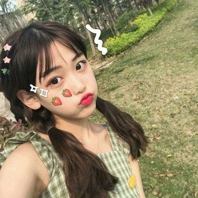 龙牌之谜